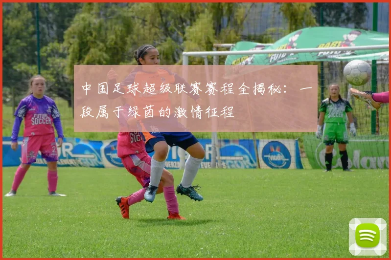 中国足球超级联赛赛程全揭秘:一段属于绿茵的激情征程