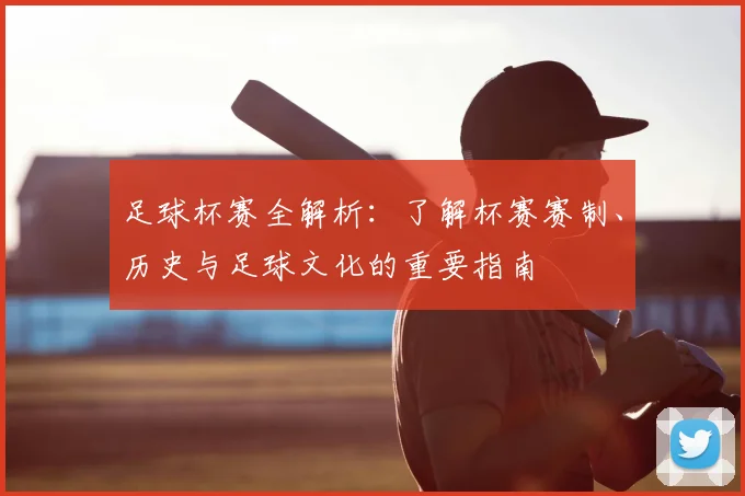 足球杯赛全解析：了解杯赛赛制、历史与足球文化的重要指南